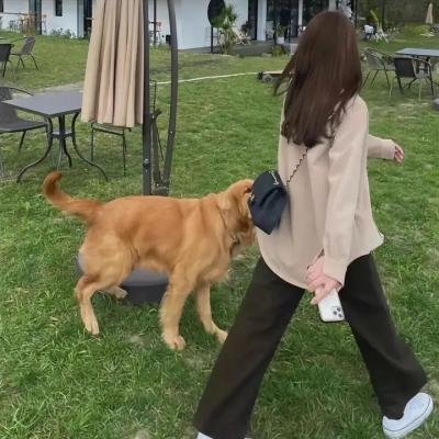 谁来当晚餐